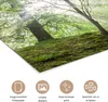 MuchoWow® Poster Wald - Bäume - Sonne 120x80 cm - Bilder Produktbild-Vorschau 2