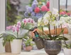 Gardena Postřikovač 1 L 11112-20 Náhled obrázku produktu 8