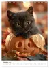 Spaß mit Katzen (Wandkalender 2027 DIN A3 hoch), CALVENDO Produktbild-Vorschau 13