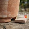 Teramico "Cilindro Cipressi" Blumentopf Terracotta Produktbild-Vorschau 7