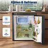 65L Einbau Kompressor Kühlbox, 12V/24V 100-240V,-20℃ bis Produktbild-Vorschau 6