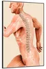 Wallario Wandbild Anatomie Wirbelsäule - Menschliches Produktbild-Vorschau 2