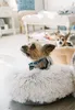 djumana.pet cuscino per cani cuscino per gatti rotondo Anteprima dell’immagine prodotto 3
