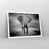 Poster - Poster ohne Rahmen - Elefant Wildnis Natur - Produktbild-Vorschau 7