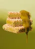 KoRo I  Pistazienschnitte mit 45 % Pistazie 12 x 22 g Produktbild-Vorschau 7
