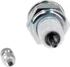 A close-up studio shot of a spark plug and a small metal cap. Produktbild-Vorschau