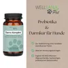 WELLSANA DARM-KOMPLEX – Probiotika für Hunde Produktbild-Vorschau 2