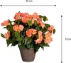 Mica Decorations Fleur artificielle Begonia - 36x36x37 cm - Voir les images du produit 2
