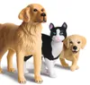 Ravensburger tiptoi Spielfigur Tierwelt Tier-Set Golden Produktbild-Vorschau 5