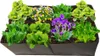 A raised garden bed filled with various plants and flowers. Náhled obrázku produktu