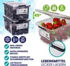 DEUBA® 10x Boîte de rangement 2L plastique transparent Voir les images du produit 3