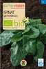 Spinat Winterriesen - 5 g Saatgut Produktbild-Vorschau 1
