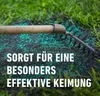 COMPO SAAT® Rasen-Reparatur Mix 360 g für 15 m² Produktbild-Vorschau 6