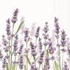 20 Servietten Lavender Shades white - Lavendelwiese blüht Produktbild-Vorschau 2