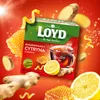 Herbatka rozgrzewająca Loyd Imbir, cytryna i miód 20 Podgląd zdjęcia produktu 4