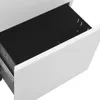 vidaXL Archiefkast met wielen, lichtgrijs, 39x45x67 cm, Productafbeelding-voorbeeld 6