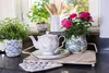 A kitchen counter with plants, a teapot, and a pot of roses. Podgląd zdjęcia produktu