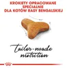 Royal Canin Bengal Adult, Adult, Bengalen, Geflügel, Produktbild-Vorschau 2