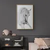 Posterpapier Poster - White Horse 40x60 cm Tiere Produktbild-Vorschau 2