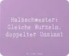 Mr. & Mrs. Panda Mauspad Spruch Halbschwester Unsinn - Produktbild-Vorschau 1