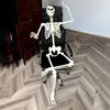Halloween Skelett – Realistische Wetterfestes Knochengerüst Produktbild-Vorschau 6