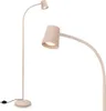 A floor lamp with a flexible head and a foot switch, shown against a white background. Anteprima dell’immagine prodotto