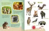 Mein großes Buch der Tiergeräusche Produktbild-Vorschau 4