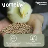 Eggersmann Körnerpick 25 kg Küken Starter Pellets GVO frei Produktbild-Vorschau 4