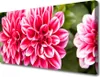 Tulup Leinwand-Bilder 100x50 Wandbild Canvas Kunstdruck Produktbild-Vorschau 1
