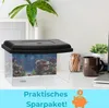 2er Set Nano Aquarium Terrarium Faunarium Urzeitkrebse Produktbild-Vorschau 5