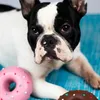 Karlie Doggy Donuts Latex pink Produktbild-Vorschau 4