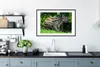 MuchoWow® MuchoWow® Gerahmtes Poster Junger Tapir im Produktbild-Vorschau 4