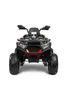 TOYZ  Batterie Fahrzeug Quad Gigant Led - 4x45W Motor - Produktbild-Vorschau 7