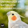 Best For Home Vogelsand|Vogelsand 25kg für Käfig|Quarz Produktbild-Vorschau 4