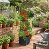 Tomatentopf mit Rankhilfe, 1 Stück 140 cm Selbstbewässerung Produktbild-Vorschau 9