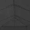 vidaXL Pavillon mit Vorhängen 600x298x270 cm Anthrazit Produktbild-Vorschau 6