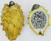 Žltá pitahaya (Hylocereus megalanthus)  – 10 semien Náhľad obrázku produktu 2