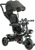 Stars Dreirad, Kinderdreirad, Baby Fahrrad 3-in-1 - bis 25 Produktbild-Vorschau 5