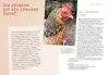 Hilfe, mein Huhn niest! Produktbild-Vorschau 2