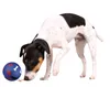 Trixie Snacky Snackball - 7 cm Produktbild-Vorschau 3