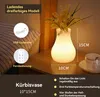 DOPWii Nachtlicht Vasenlampe, 3 Farben einstellbar, USB Produktbild-Vorschau 2