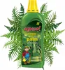 A bottle of liquid fertilizer for palm plants, surrounded by fern leaves. Náhled obrázku produktu