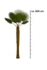 Palme Hanfpalme Trachycarpus Fortunei ca. 270cm - 300 cm – Produktbild-Vorschau 5