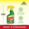 Neudorff Spruzit AF Schädlingsfrei 250ml bekämpft Eier, Produktbild-Vorschau 3
