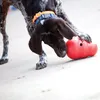 Kong WOBBLER Hundespielzeug Produktbild-Vorschau 6