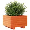 vidaXL Pflanzkübel Wachsbraun 40x40x26,5 cm Massivholz Produktbild-Vorschau 4