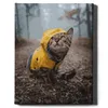 Oh Art! – Malen nach Zahlen Set Kätzchen – 40x50cm, mit Produktbild-Vorschau 1