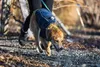 Ruffwear Climate ChangerTM Fleece Jacket, Farbe:Galaxy, Produktbild-Vorschau 18
