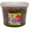 UGF Soldatenfliegenlarven 430g (3L), BSFL Vogelhauptfutter Produktbild-Vorschau 11