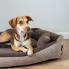 A dog is lying in its bed. Produktbild-Vorschau